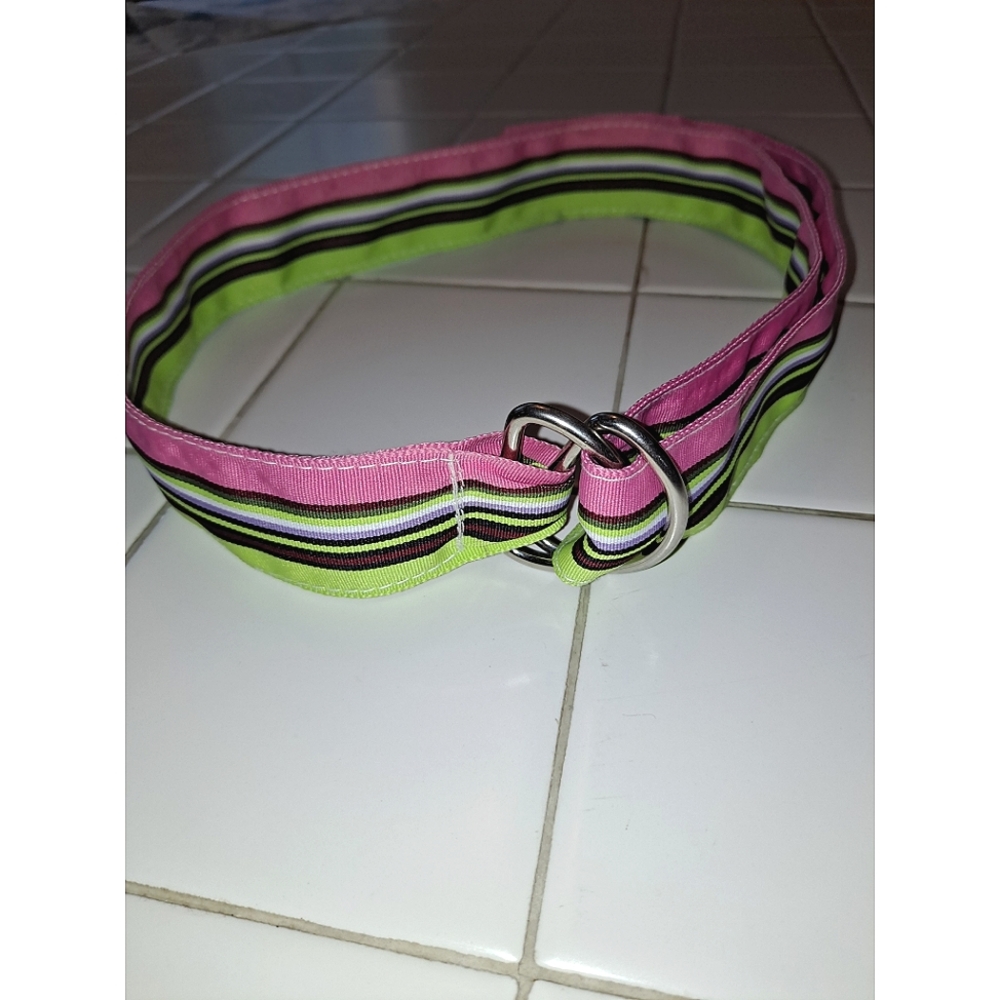 Woman's fabric striped belt green purple pink white silver buckle size small